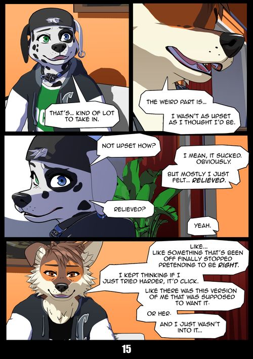 Page 15